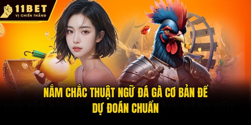 Nắm chắc thuật ngữ đá gà cơ bản để dự đoán chuẩn